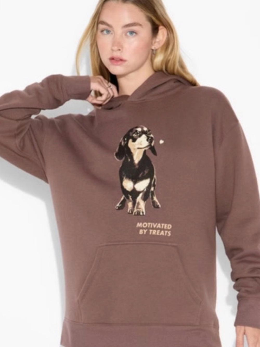 Wild Fable Dachshund Hoodie “Motivated by Treats” Brown Graphic Sweatshirt